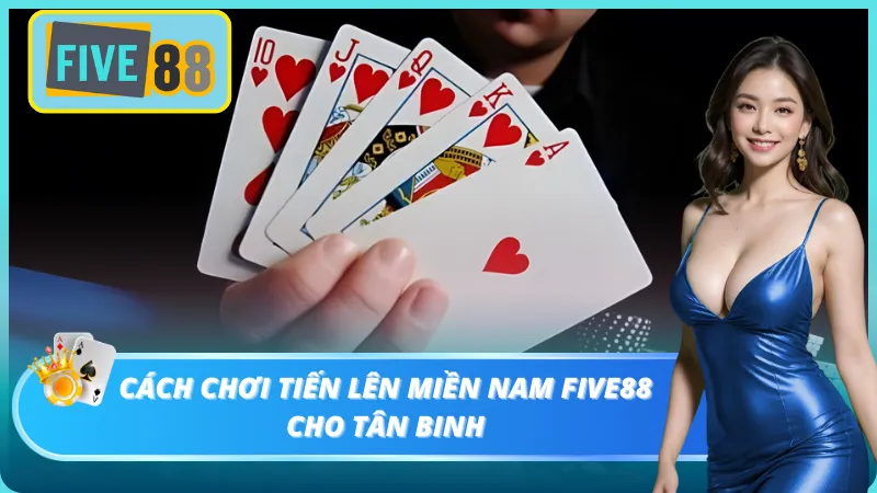 Hướng dẫn anh em cách chơi bài cực dễ